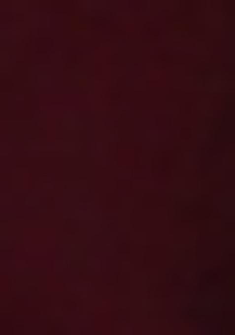 Maroon Zari Embroidered Georgette Salwar Kameez