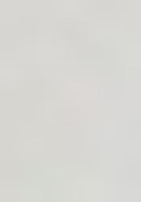 White Embroidered Viscose Salwar Kameez