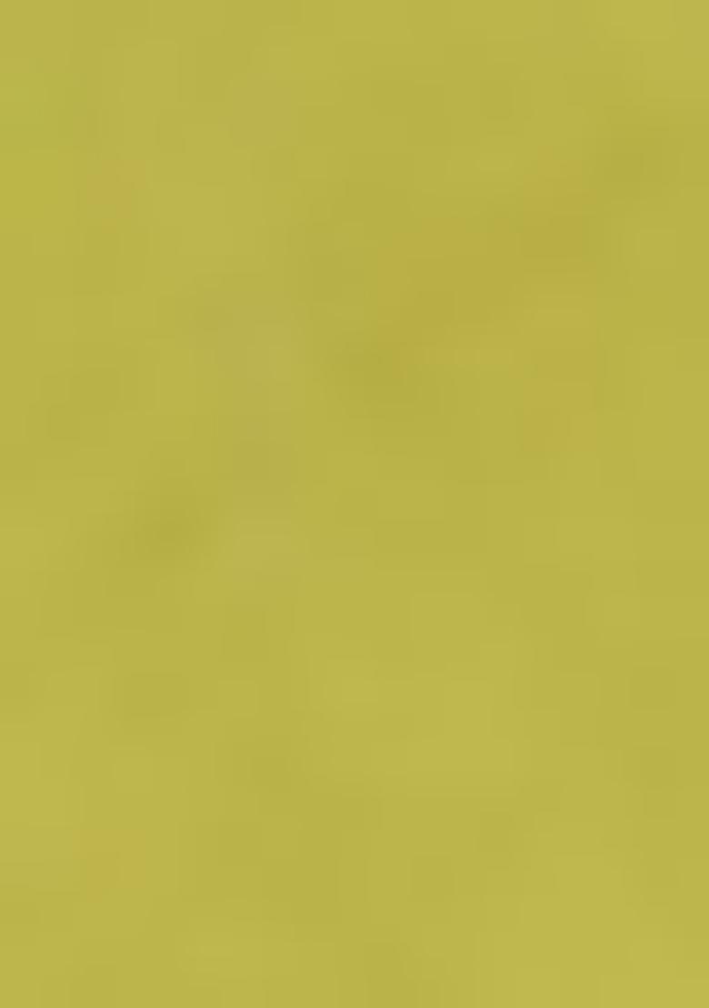 Green Embroidered Rayon Salwar Kameez