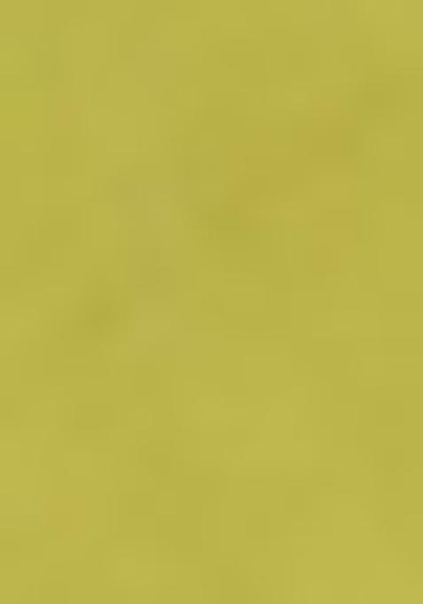 Green Embroidered Rayon Salwar Kameez