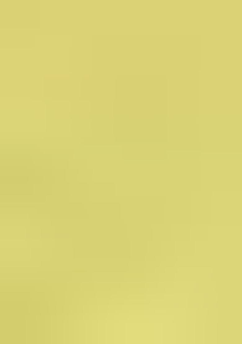 Yellow Embroidered Georgette Salwar Kameez