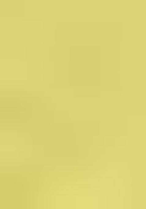 Yellow Embroidered Georgette Salwar Kameez