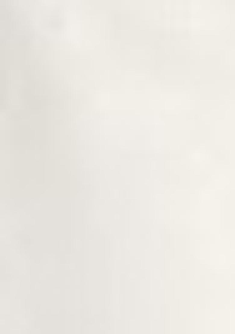 White Embroidered Georgette Pakistani Salwar Kameez