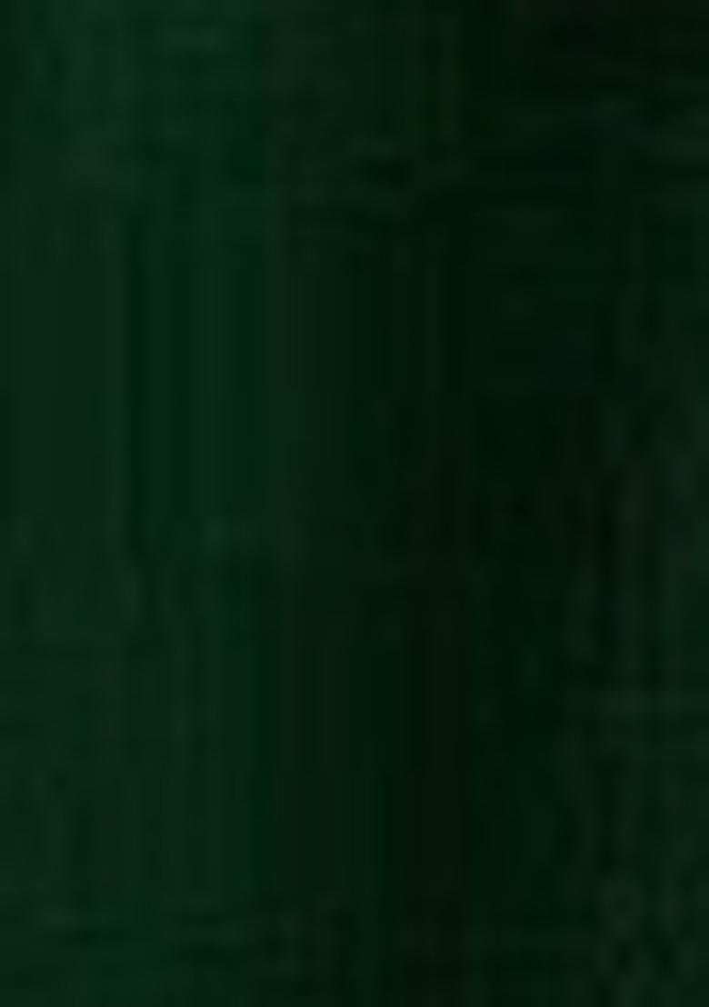 Dark Green Embroidered Viscose Salwar Kameez With Dupatta