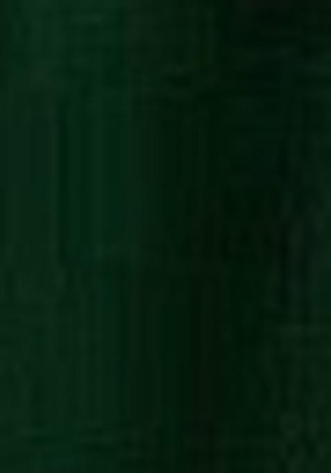 Dark Green Embroidered Viscose Salwar Kameez With Dupatta