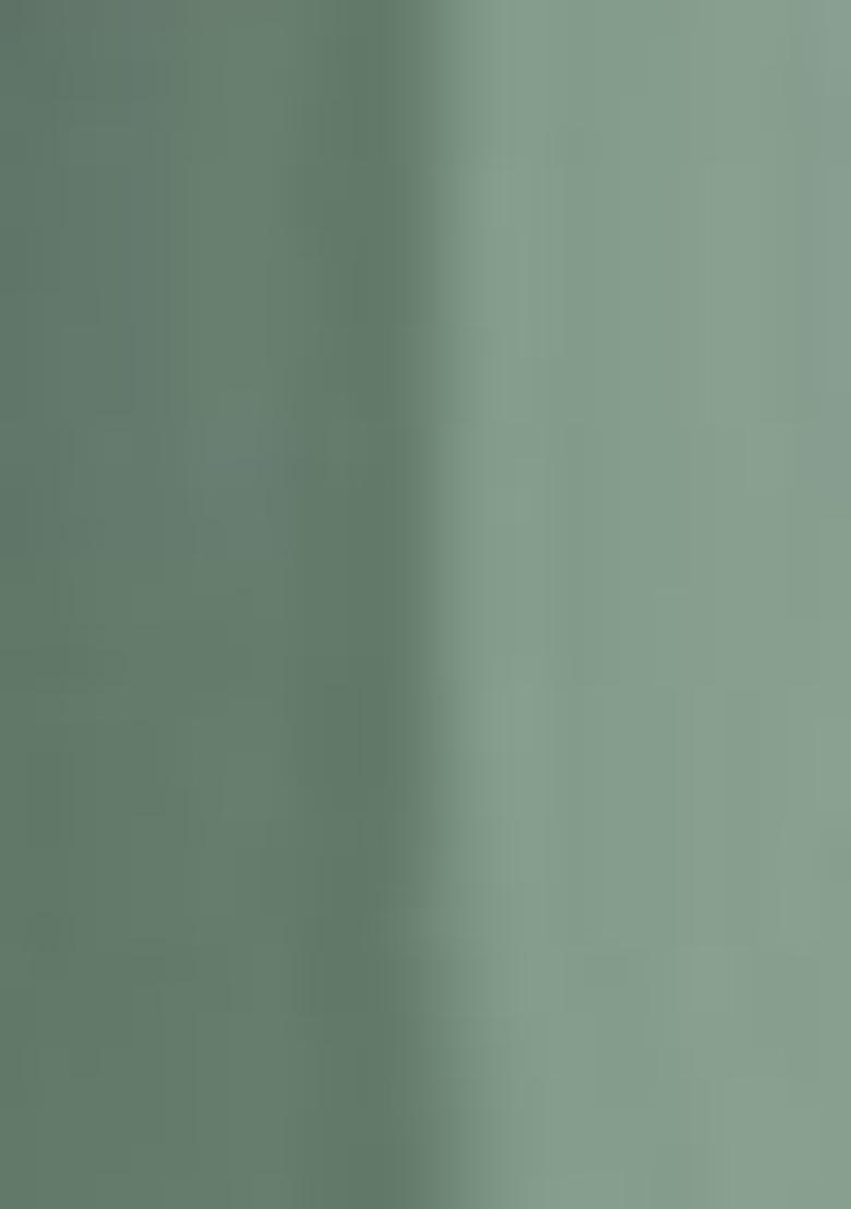 Green Embroidered Georgette Sharara Set