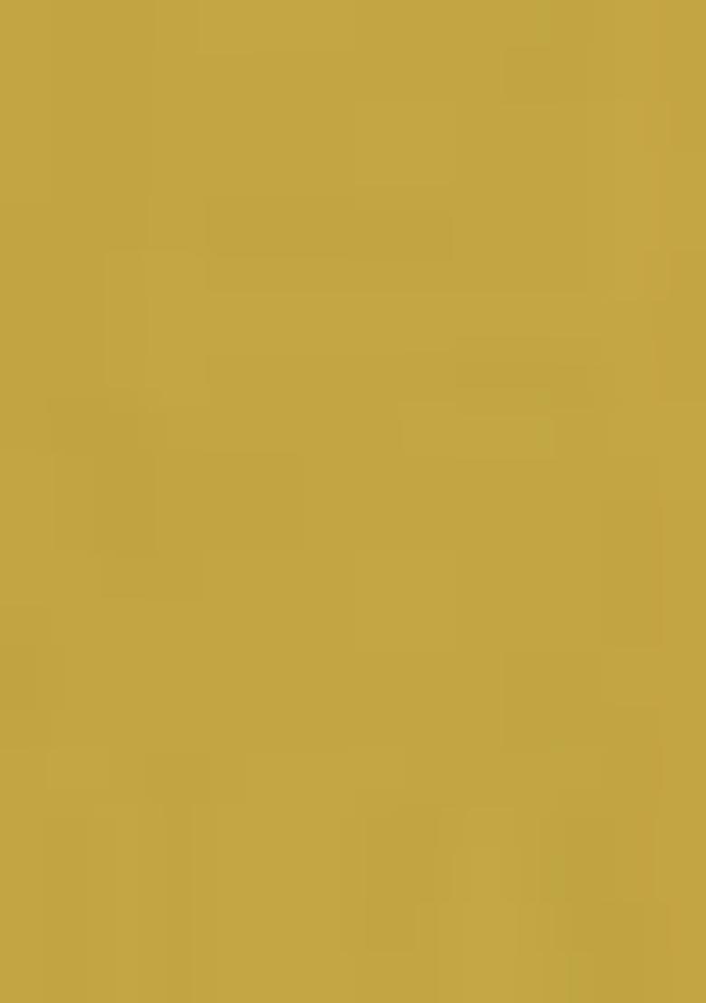 Yellow Embroidered Georgette Sharara Set