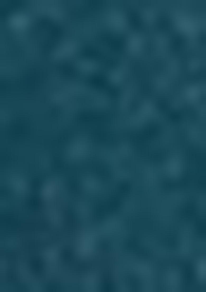 Rama Green Embroidered Georgette Salwar Kameez