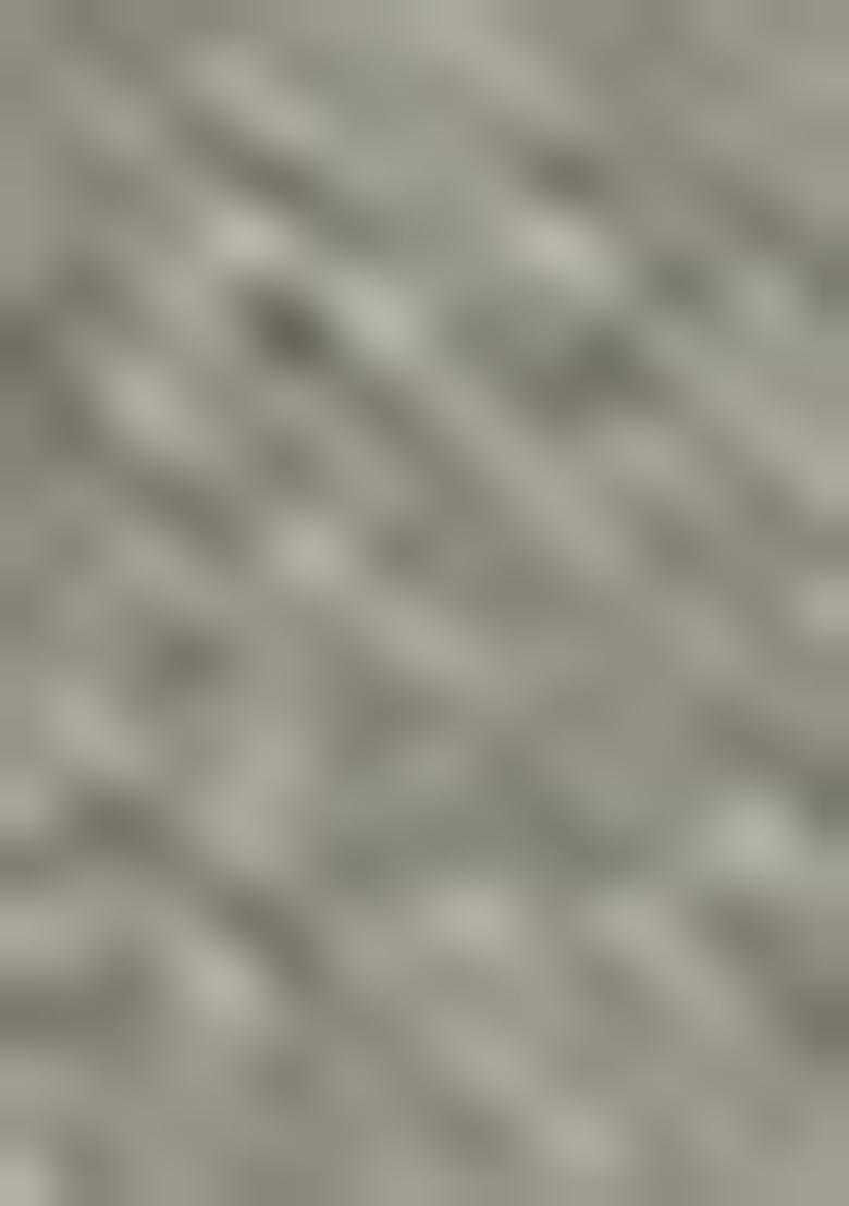 Grey Printed Chanderi Salwar Kameez