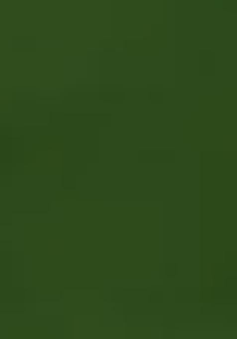 Green With A Floral Print Printed Rayon Gown