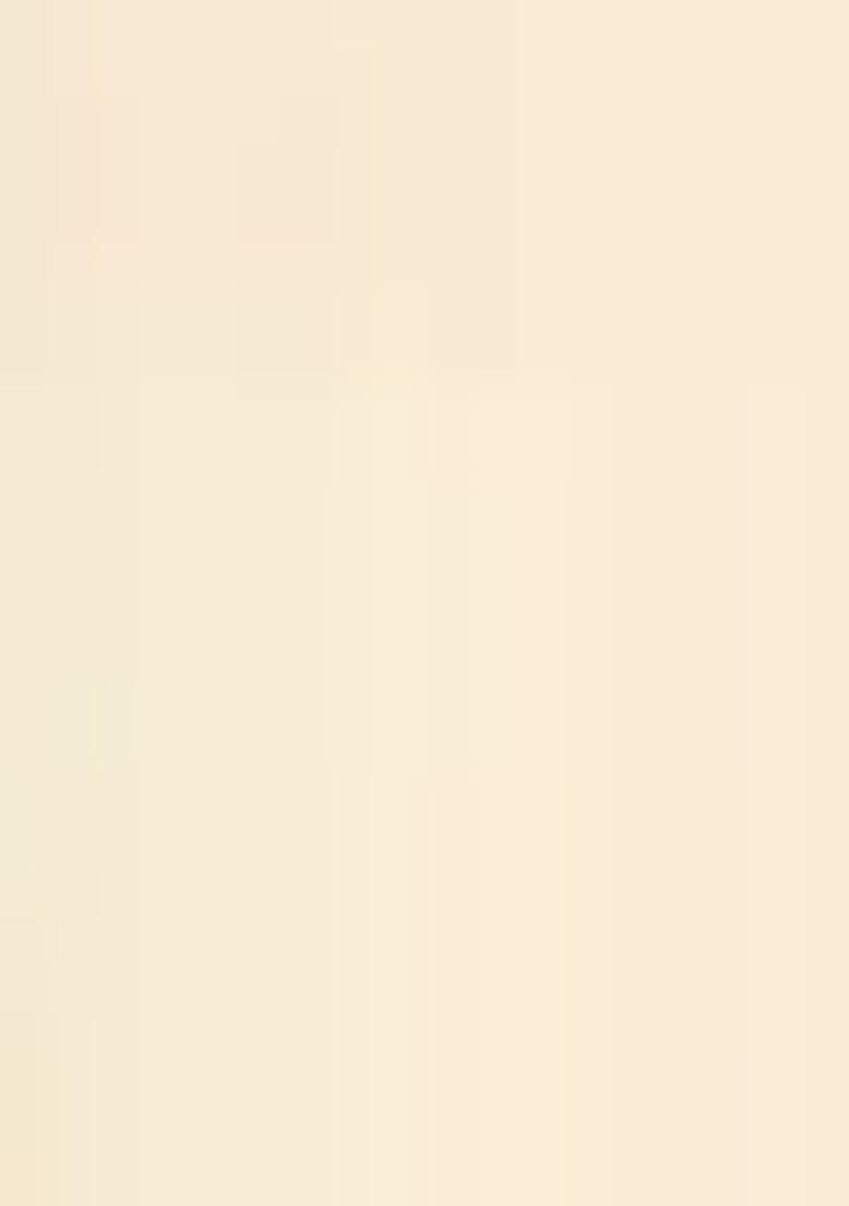 Cream Embroidered Georgette Pakistanii Salwar Kameez