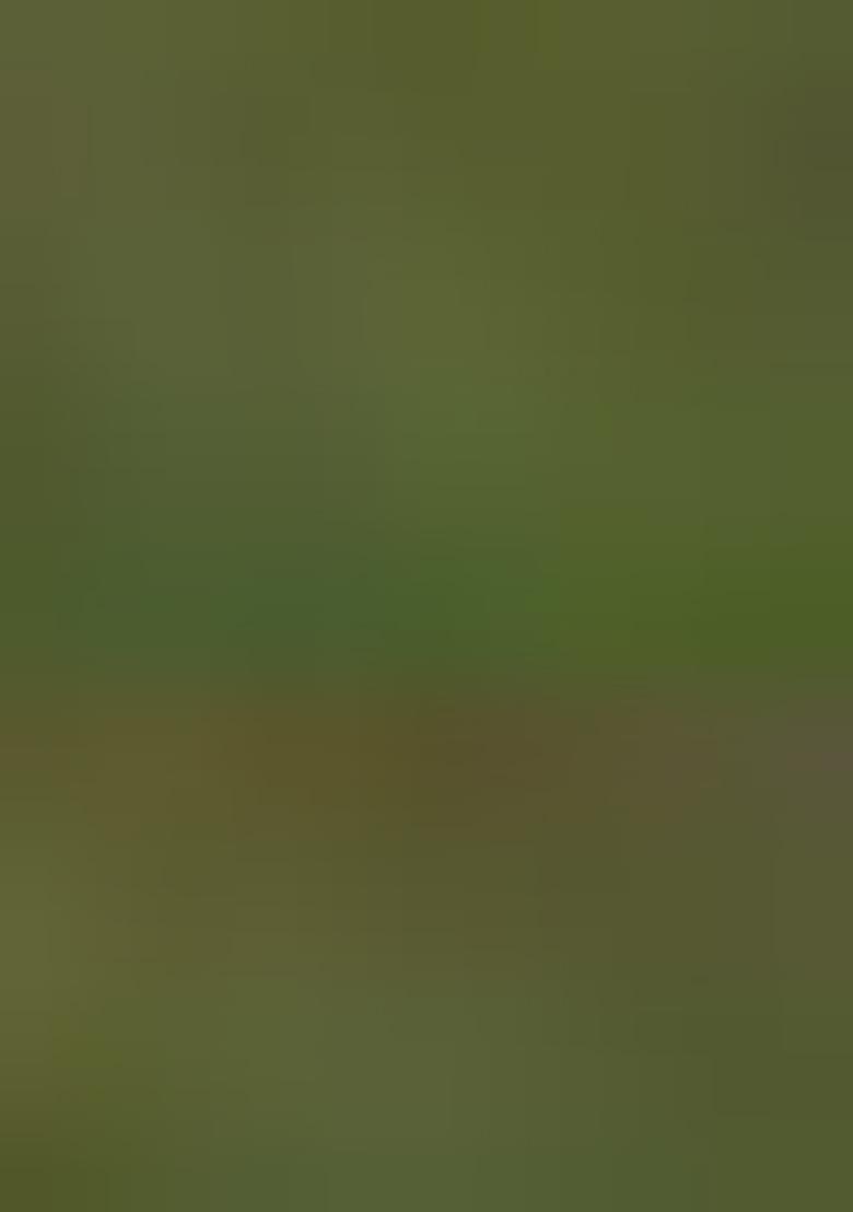 Green Embroidered Georgette Pakistanii Salwar Kameez