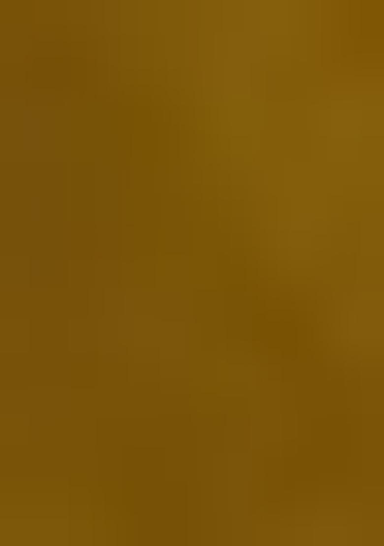 Mehendi Green Embroidered Georgette Pakistanii Salwar Kameez