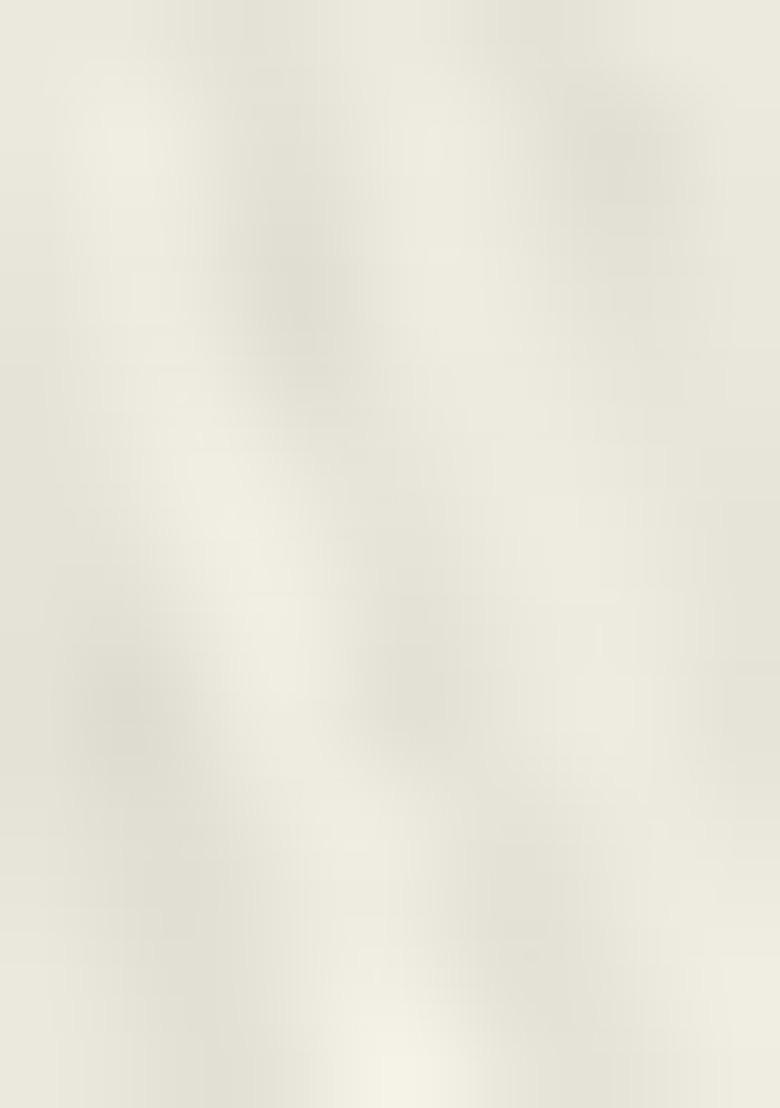 Cream Embroidered Georgette Pakistanii Salwar Kameez