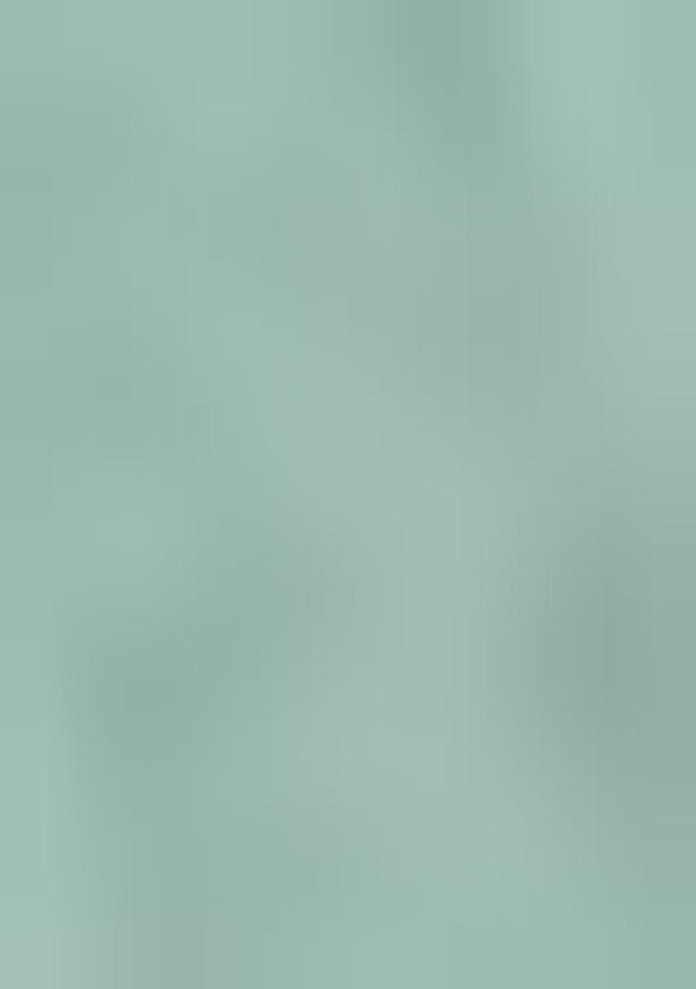 Green Embroidered Georgette Pakistanii Salwar Kameez