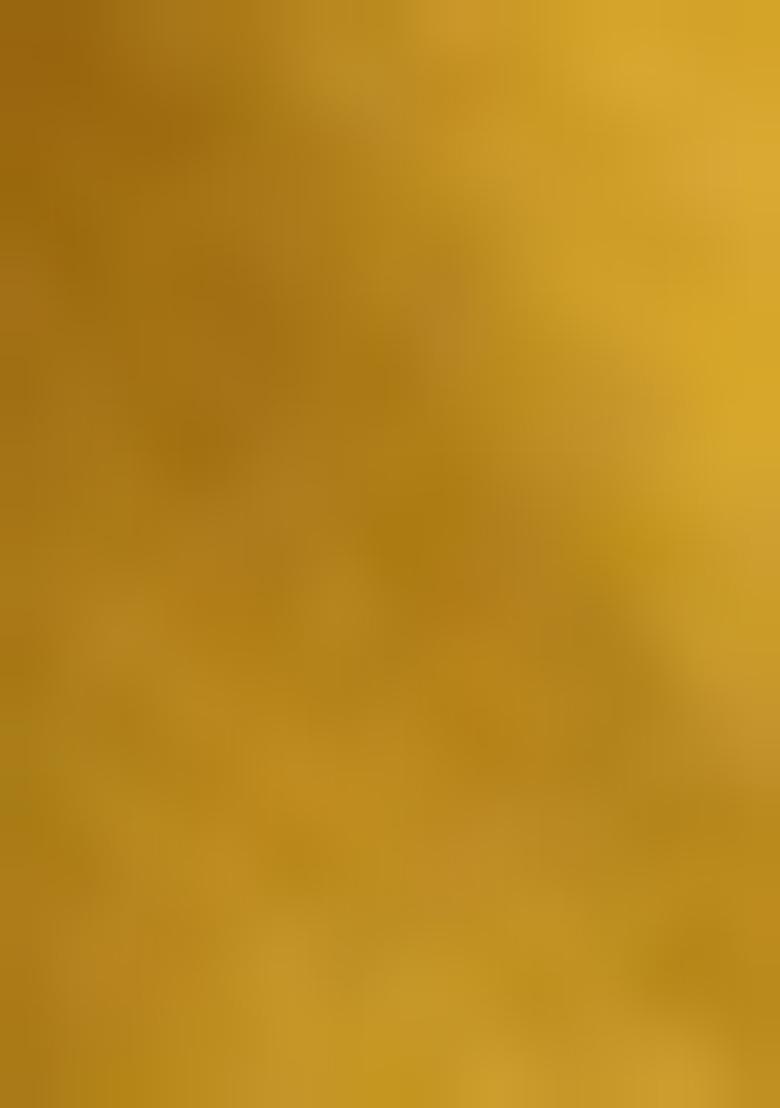 Mustard Yellow Printed Poly Georgette Salwar Kameez