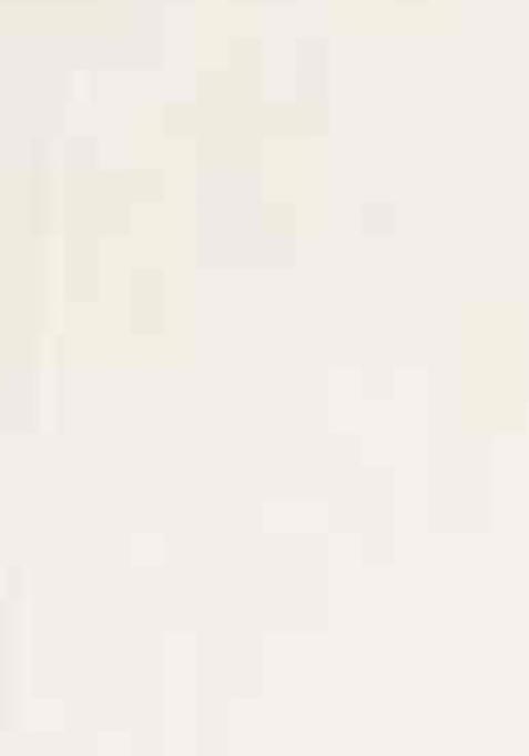 Off White Embroidered Viscose Salwar Kameez