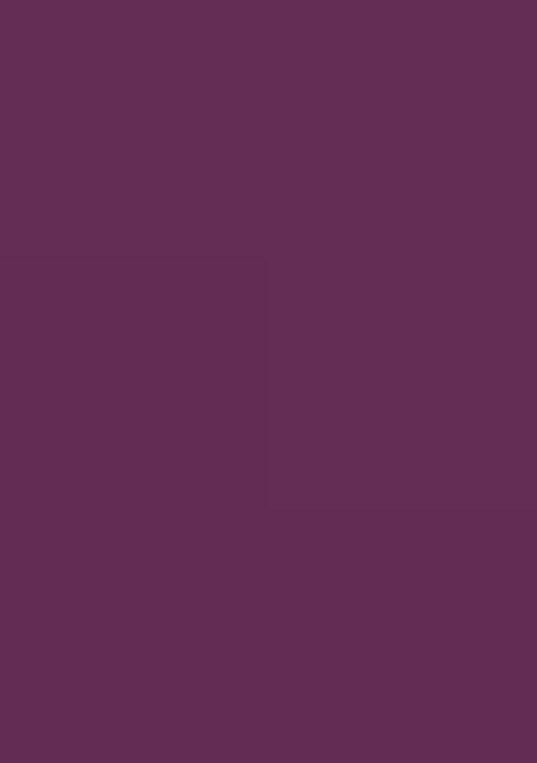 Wine Embroidered Georgette Sharara Set