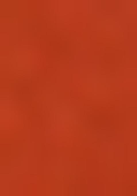 Orange Embroidered Silk Anarkali Set