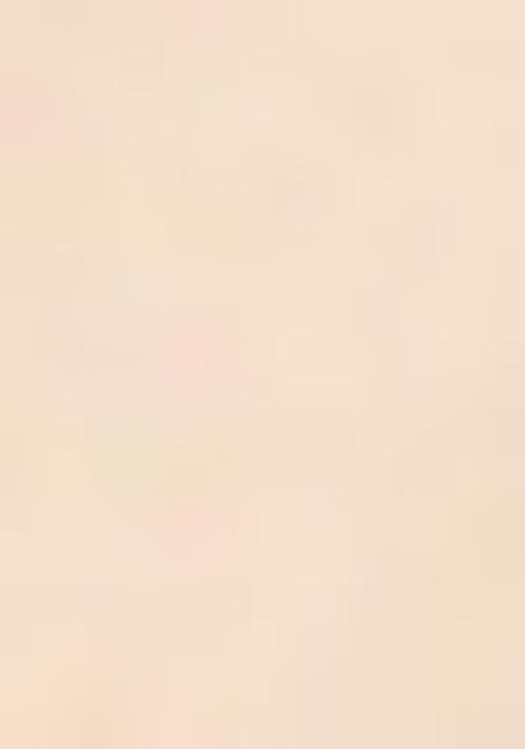 Off White Embroidered Chinon Salwar Kameez