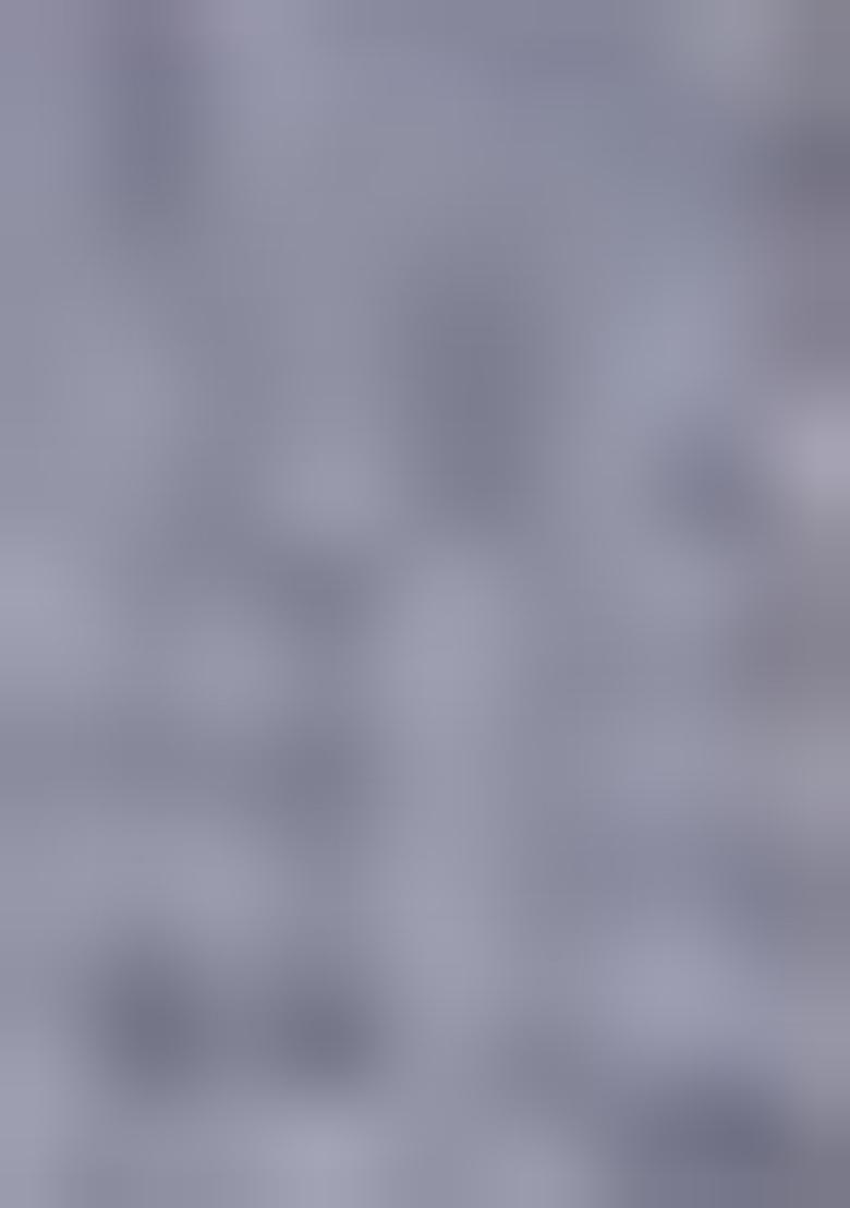 Grey Embroidered Georgette Pakastani Salwar Kameez With Dupatta