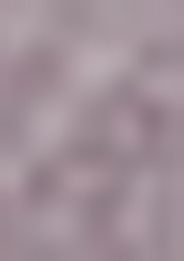 Mauve Embroidered Georgette Pakastani Salwar Kameez With Dupatta