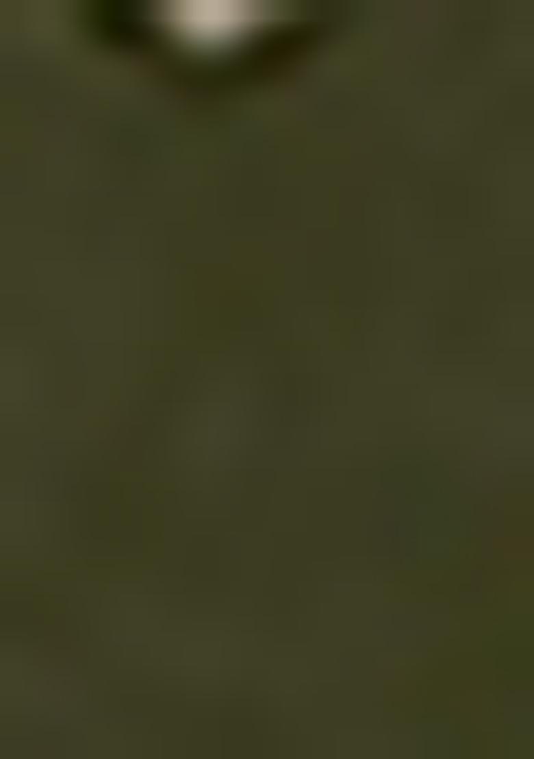 Mehendi Green Embroidered Georgette Pakastani Salwar Kameez With Dupatta