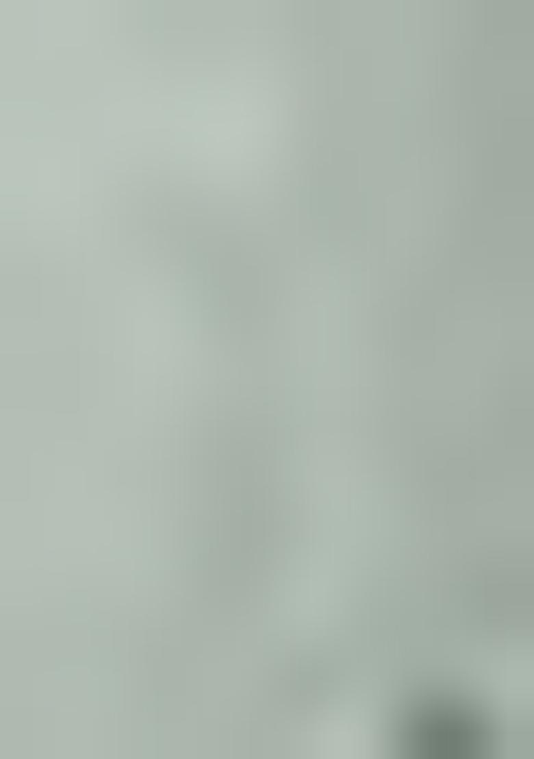 Light Sea Green Embroidered Organza Silk Pakastani Salwar Kameez With Dupatta