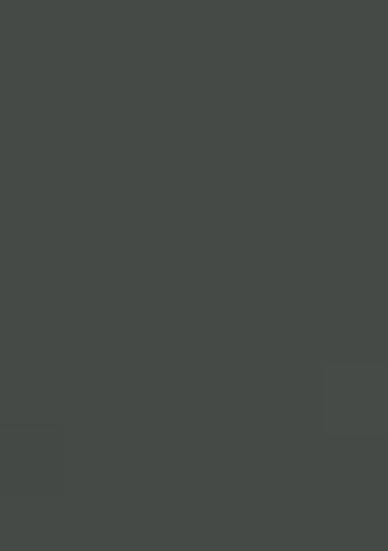 Grey Embroidered Georgette Pakastani Salwar Kameez With Dupatta