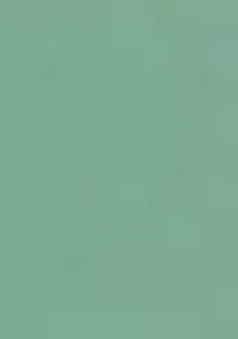 Pista Green Embroidered Silk Salwar Kameez