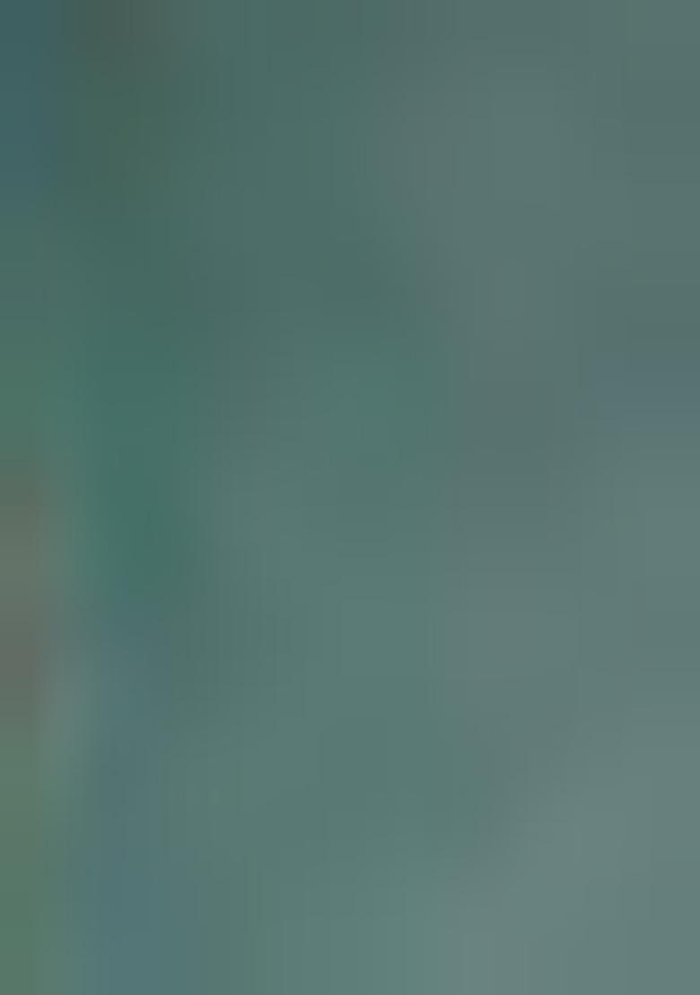 Multi Embroidered Georgette Anarkali Set With Dupatta