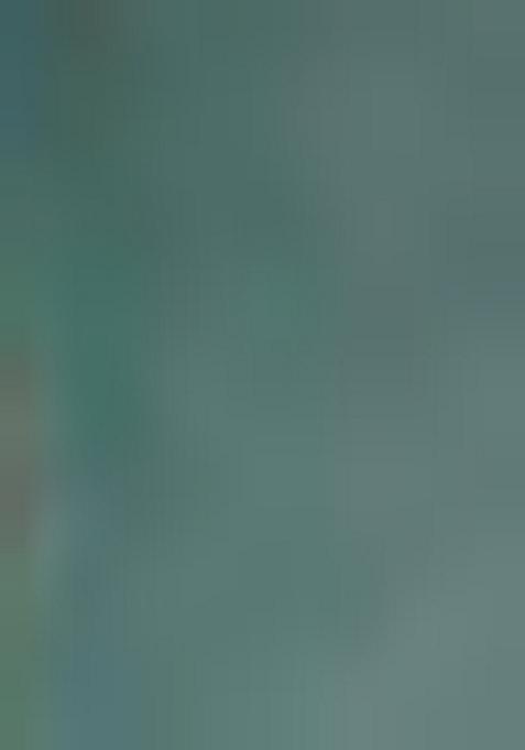 Multi Embroidered Georgette Anarkali Set With Dupatta