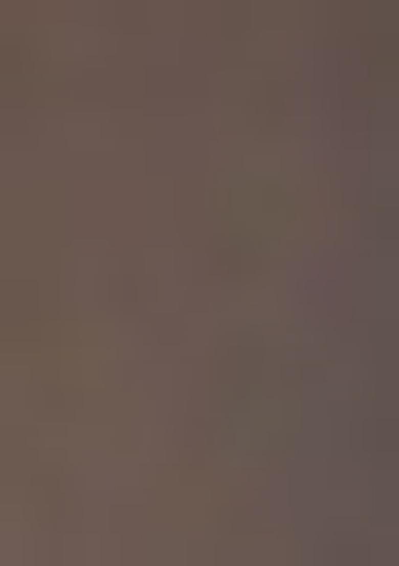 Brown Embroidered Silk Salwar Kameez With Dupatta