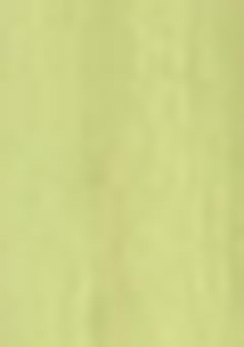 Lemon Green Embroidered Chinnon Salwar Kameez With Dupatta