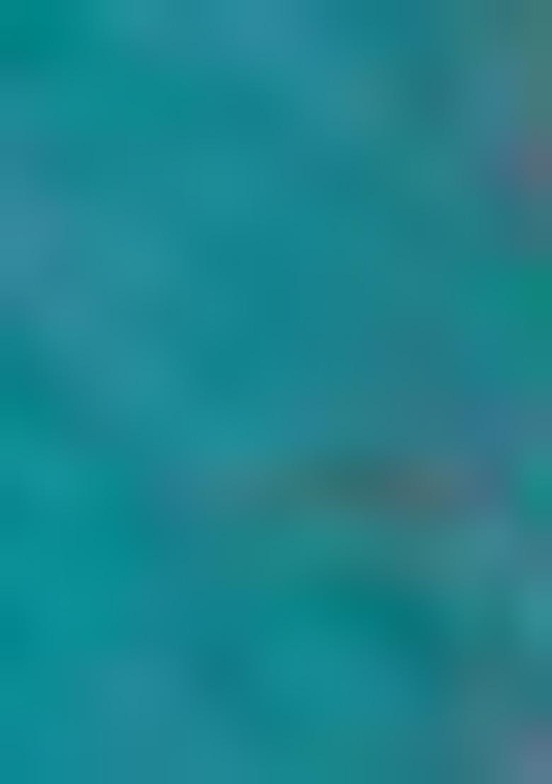 Rama Green Embroidered Pure Cotton Salwar Kameez With Dupatta