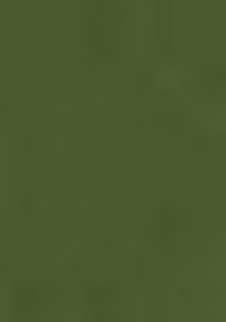 Mahendi Green Embroidered Pure Cotton Salwar Kameez With Dupatta