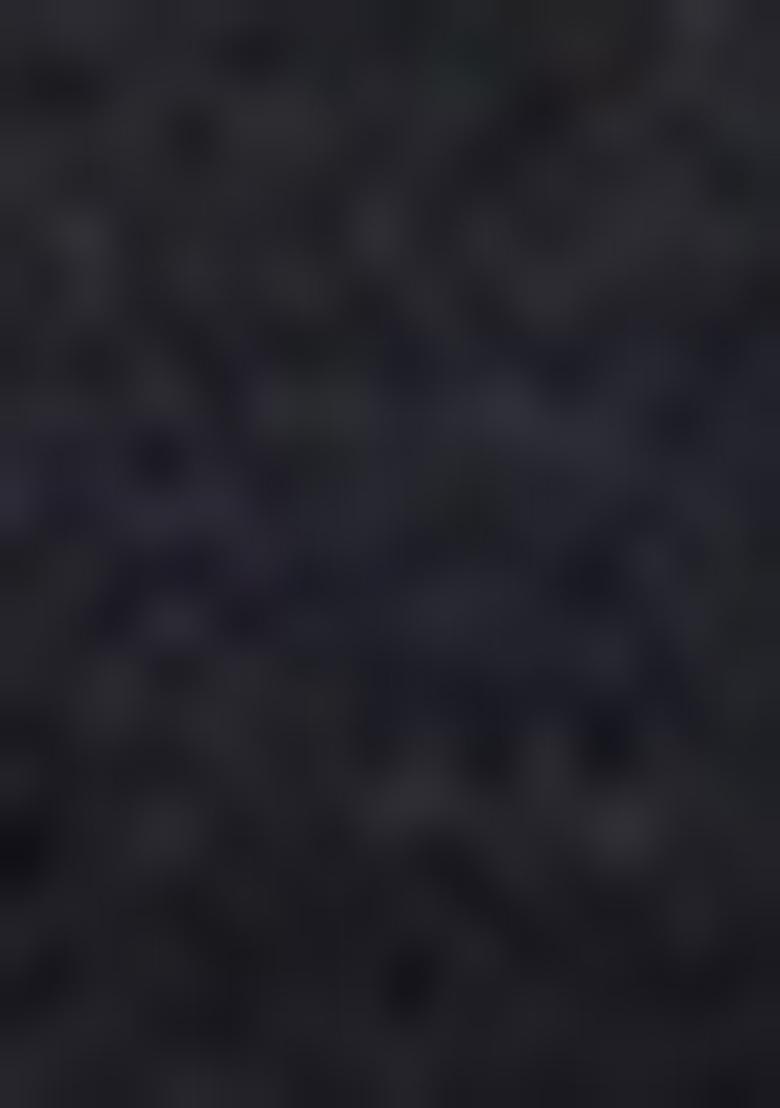 Black Printed Viscose Salwar Kameez With Dupatta