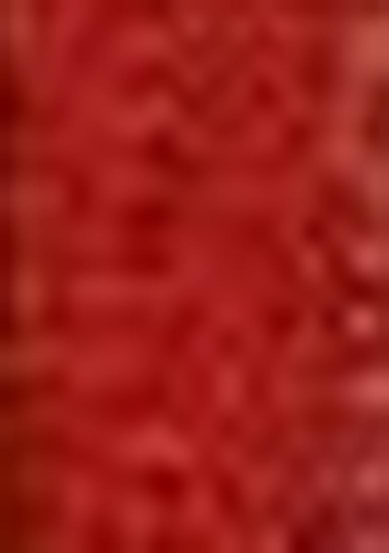 Red Printed Viscose Salwar Kameez With Dupatta