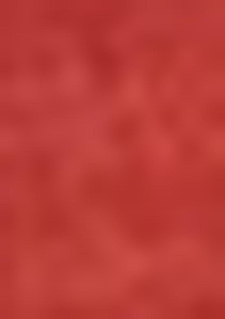 Red Printed Viscose Salwar Kameez With Dupatta