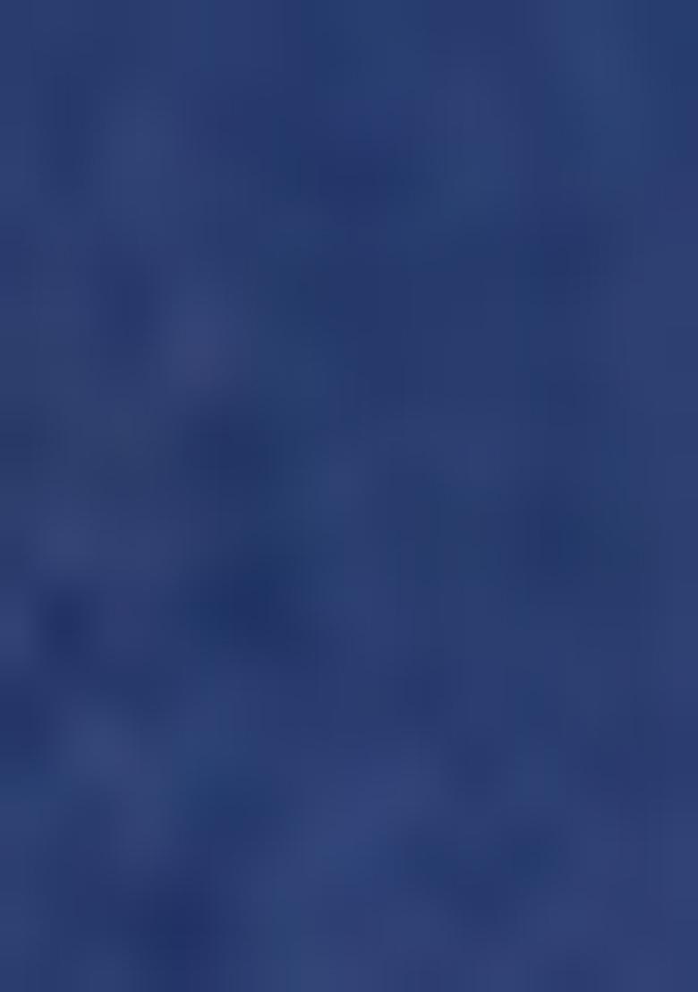 Blue Printed Viscose Salwar Kameez With Dupatta