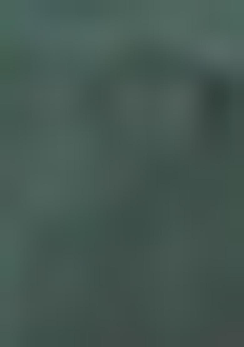 Green Printed Viscose Salwar Kameez With Dupatta