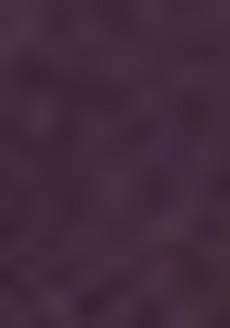 Purple Printed Viscose Salwar Kameez With Dupatta