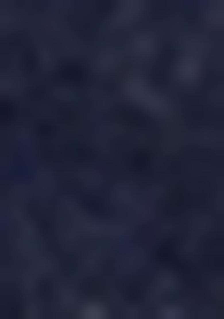 Navy Blue Embroidered Viscose Salwar Kameez With Dupatta