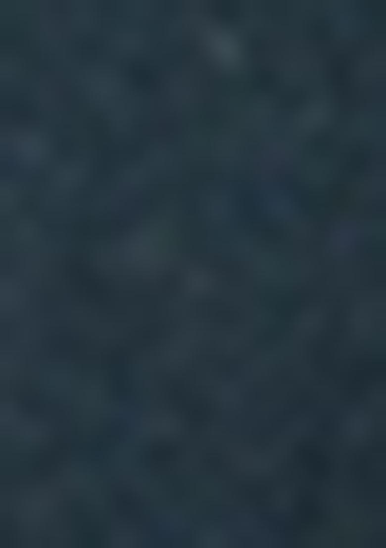 Navy Blue Embroidered Viscose Salwar Kameez With Dupatta