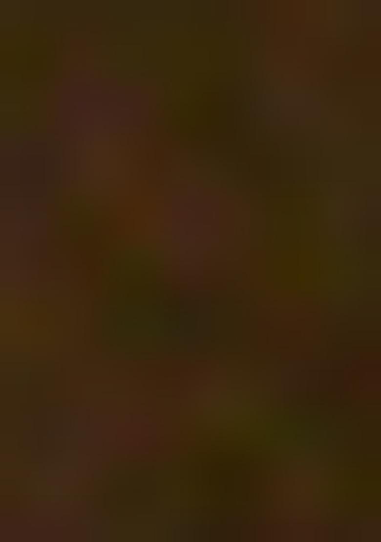 Green Embroidered Rayon Salwar Kameez With Dupatta