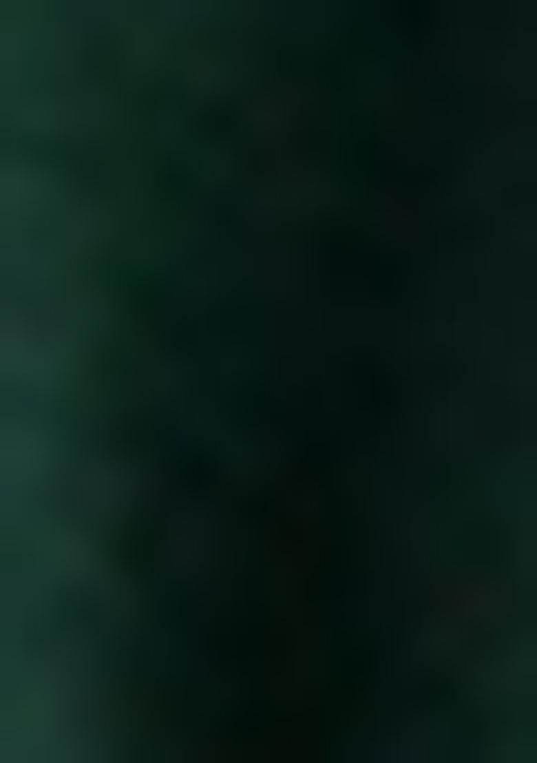 Green Yoke Design Pure Cotton Salwar Kameez With Dupatta