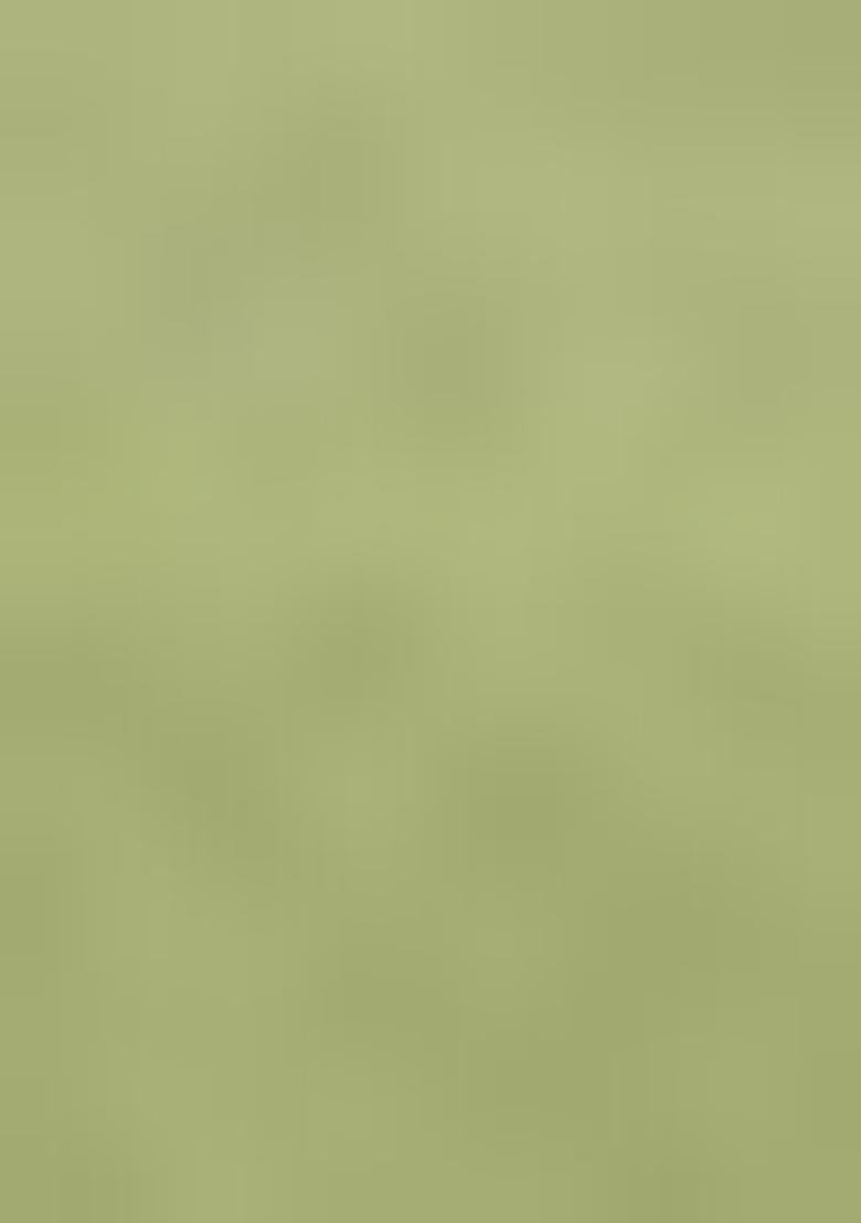 Green Embroidered Silk Blend Salwar Kameez With Dupatta