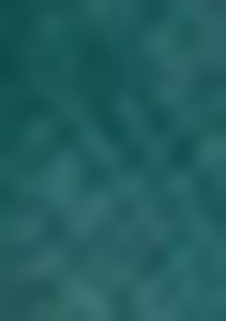 Green Printed Chanderi Salwar Kameez With Dupatta