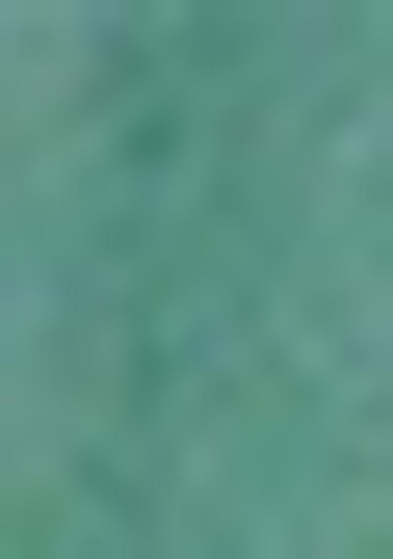 Green Embroidered Silk Blend Salwar Kameez With Dupatta