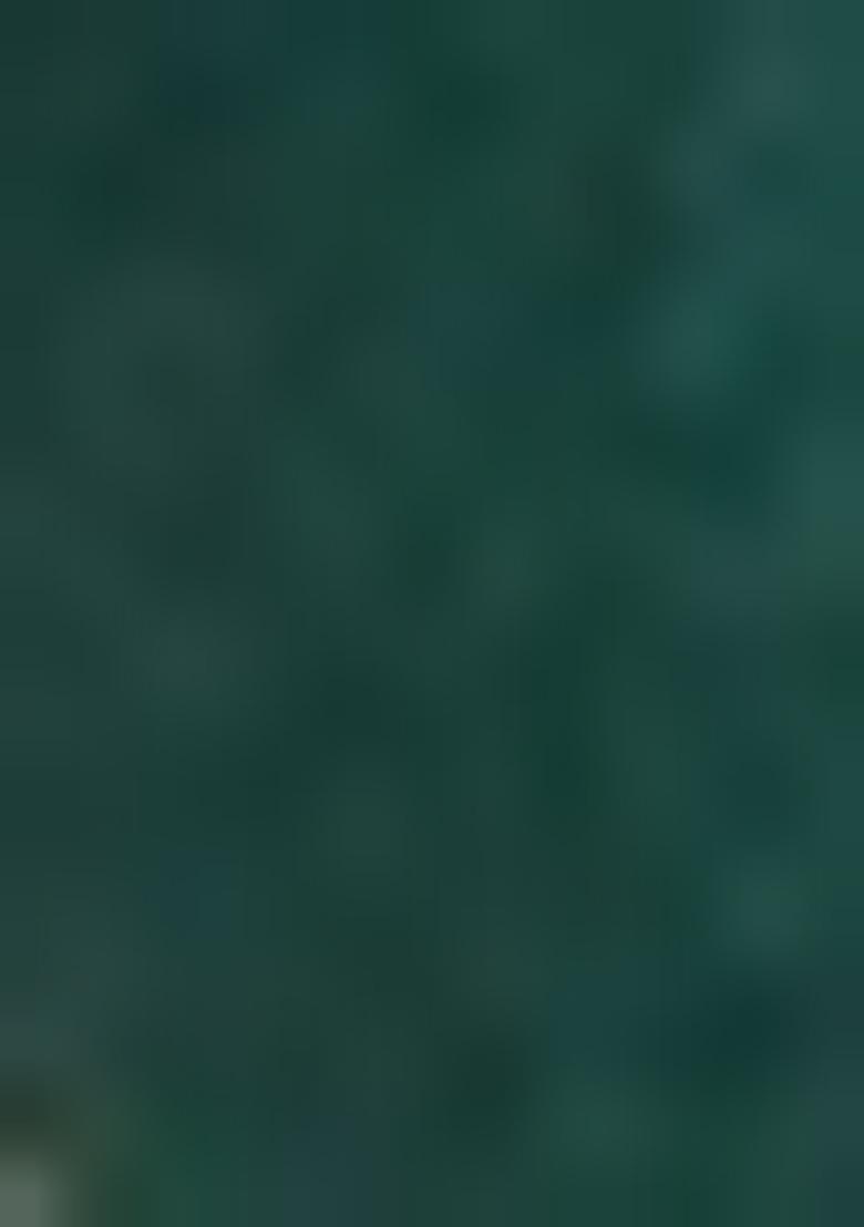 Green Printed Pure Silk Salwar Kameez With Dupatta